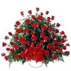 Dutch Red Roses with Alluring Affection